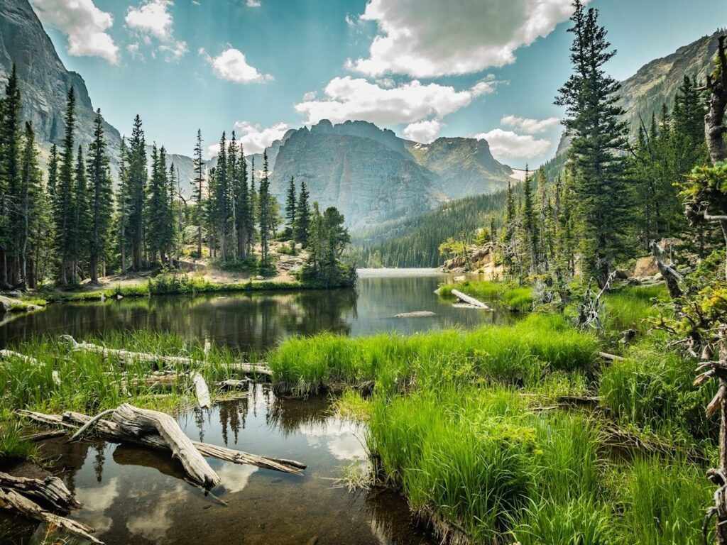 a lake surrounded by trees and mountains under a cloudy sky